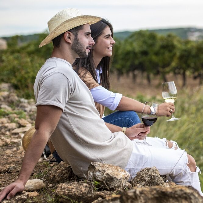 Celler Augustus, El Vendrell, Vinyes, Viñas, Vineyards, Vi, Vino, Wine, Celler, Bodega, Cellar, Finca, Estate, D.O. Penedès, Enoturisme, Wine Tourism, Enotursimo,Verema, Harvest, Vendimia