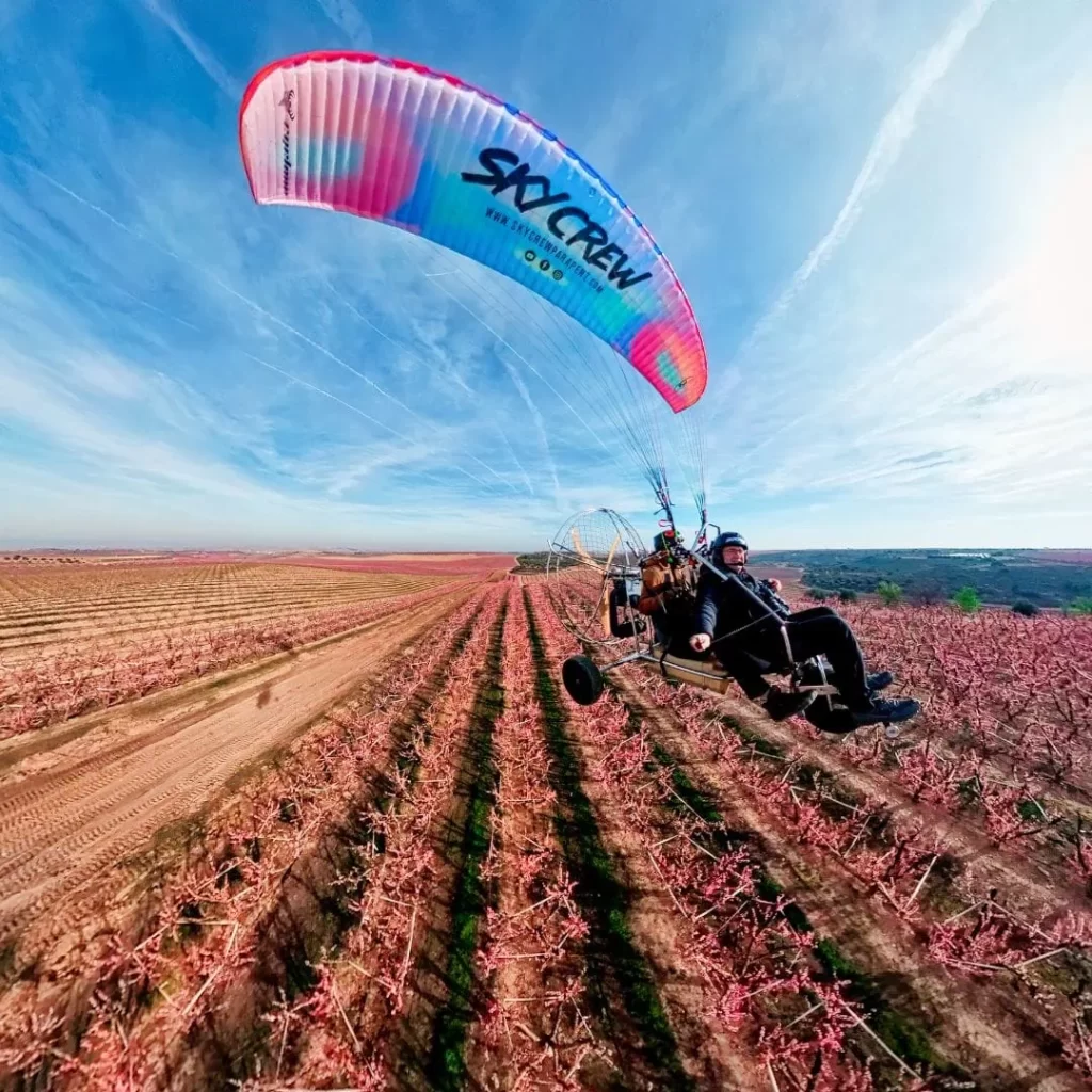 Experiència_Floració-3