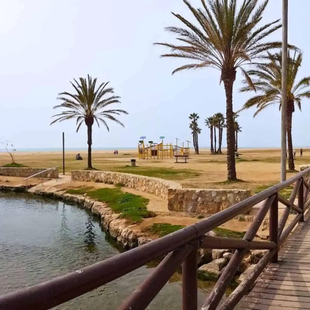 Descobreix què fer al Vendrell i Coma-Ruga: Estany i Riuet de Coma-Ruga